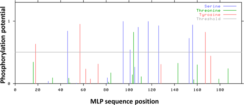 Fig.1.