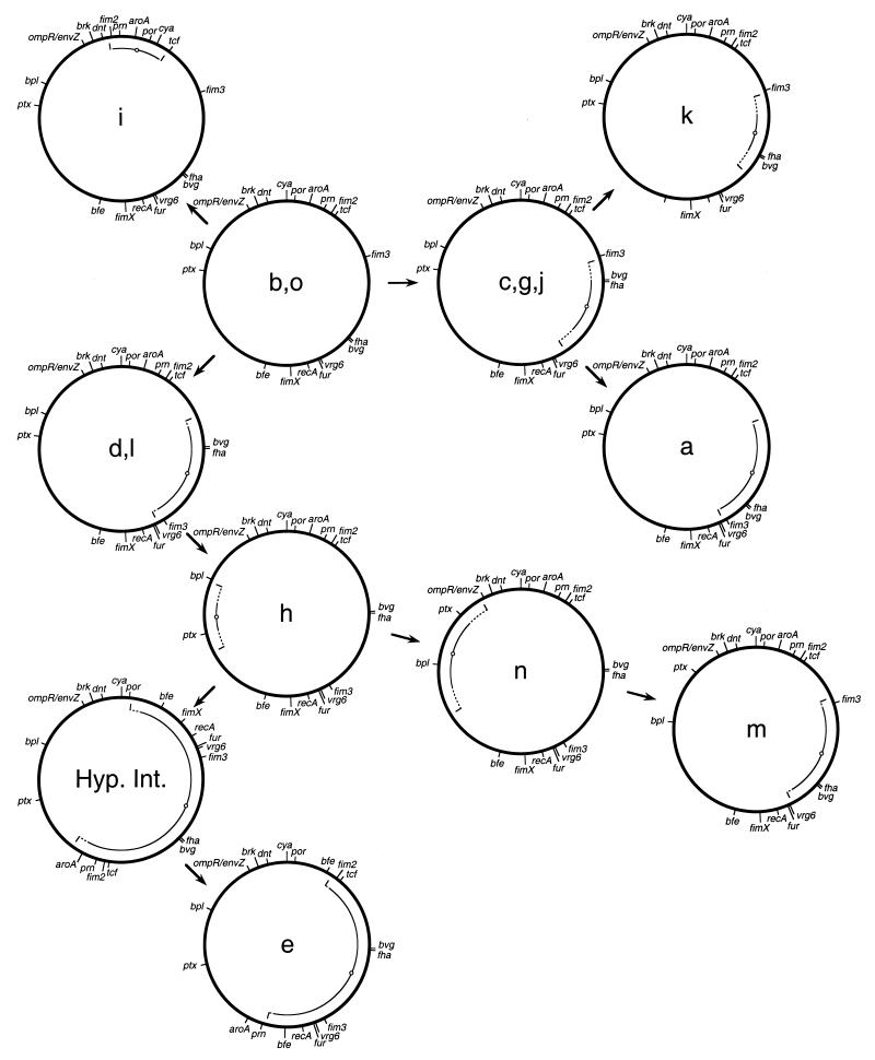 FIG. 1