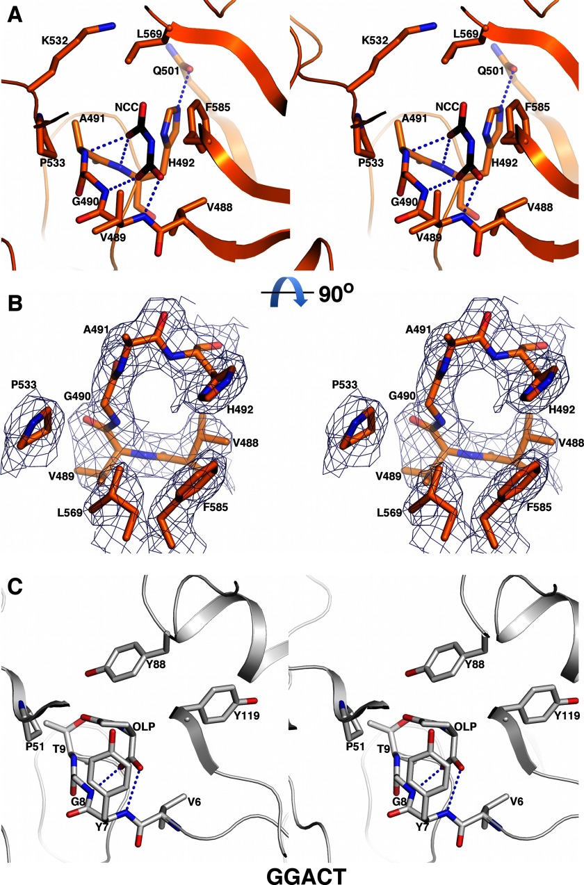 FIGURE 7.