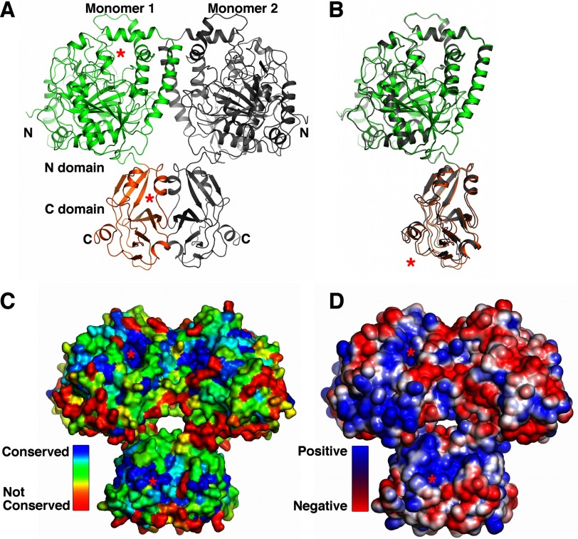 FIGURE 2.