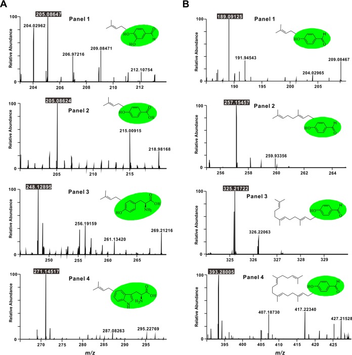 FIG 4