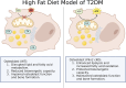 Graphical Abstract