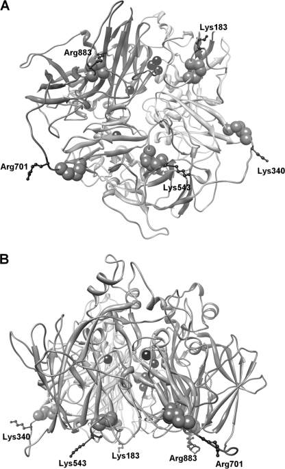 FIGURE 1.