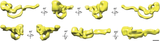 Fig. 2.