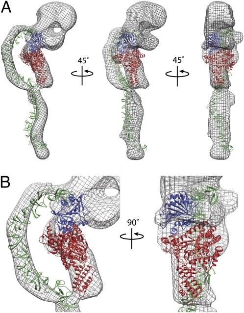 Fig. 6.