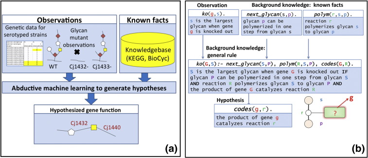 Fig. 1