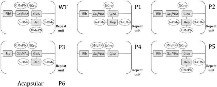 Fig. 2