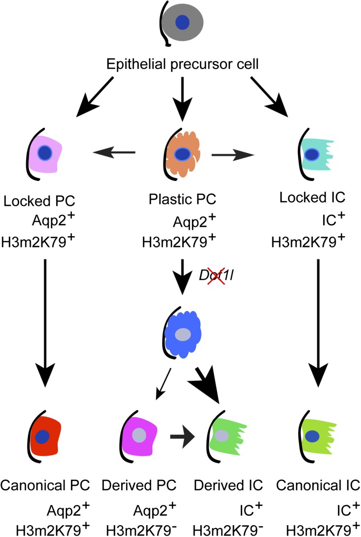 Figure 10.