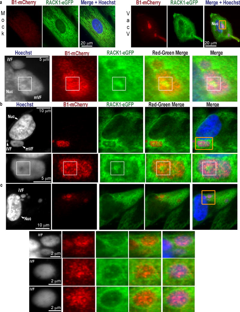 Extended Data Figure 5