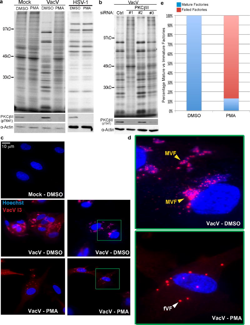 Extended Data Figure 3