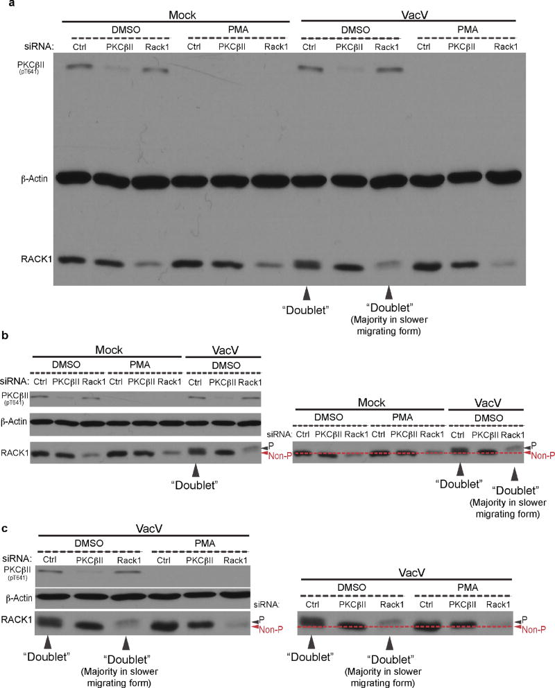 Extended Data Figure 2