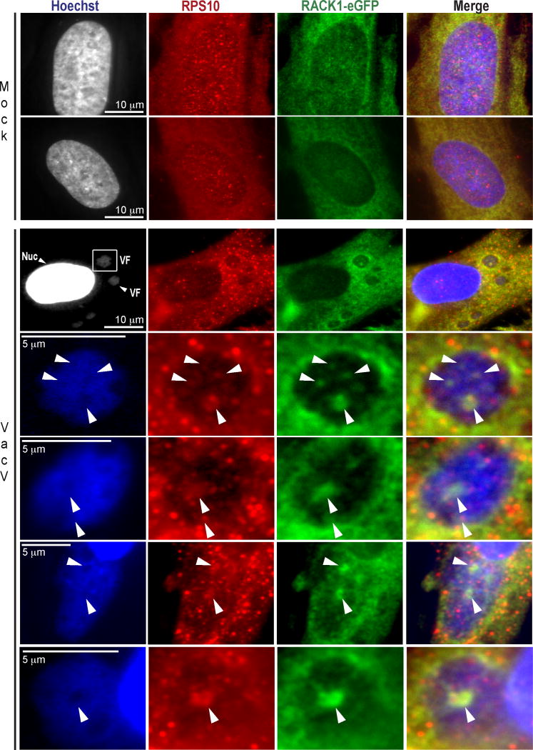 Extended Data Figure 8