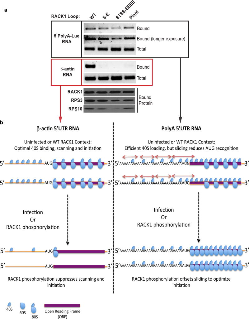 Extended Data Figure 10