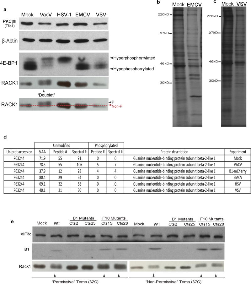 Extended Data Figure 4