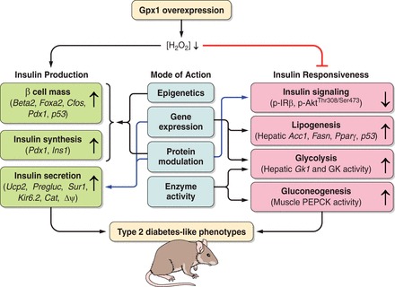 FIGURE 10.