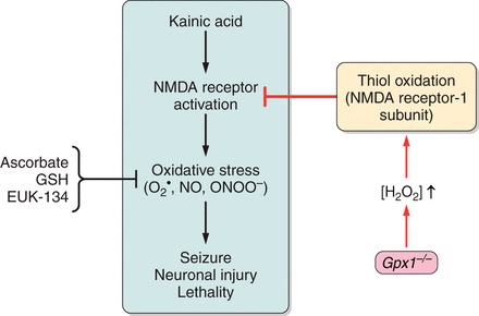 FIGURE 9.