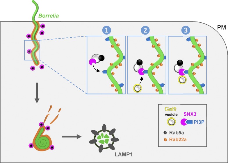 Figure 10.