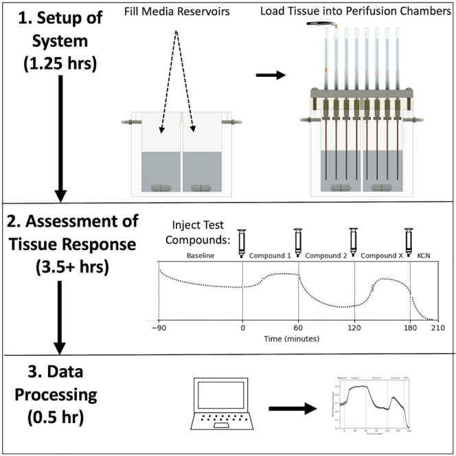 graphic file with name fx1.jpg