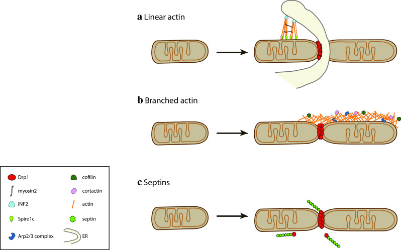 Fig. 3