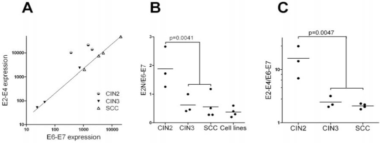 Fig. (4)