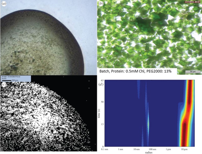 Figure 3.