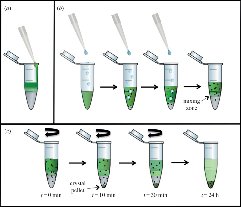 Figure 4.