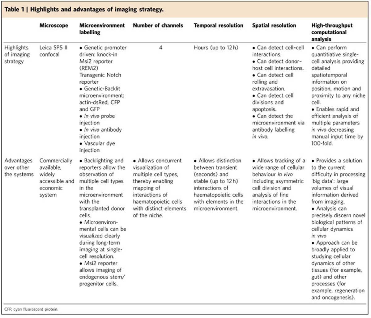 graphic file with name ncomms12169-t1.jpg