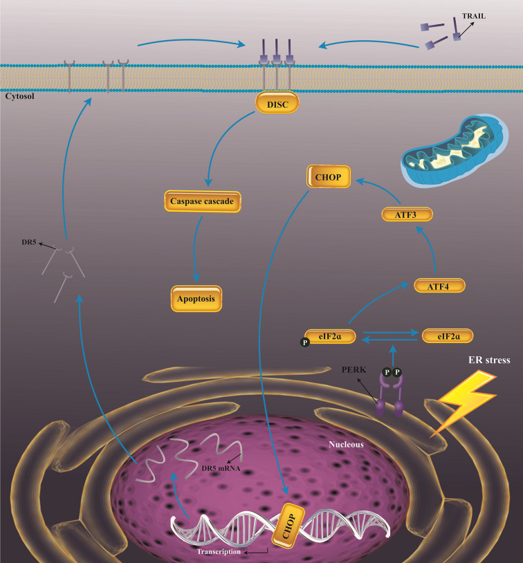 Figure 5