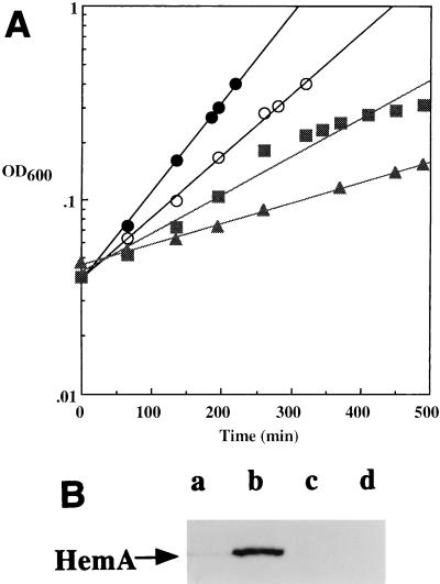 FIG. 11