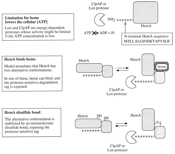 FIG. 12