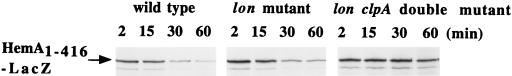 FIG. 9