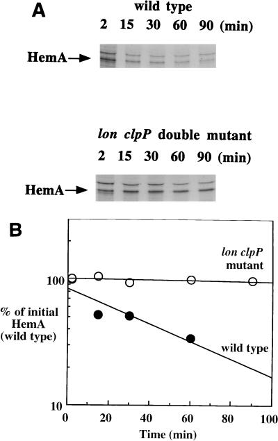 FIG. 5