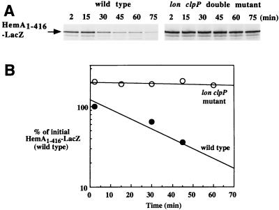 FIG. 8