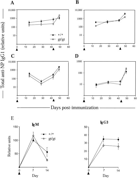 FIG. 7.