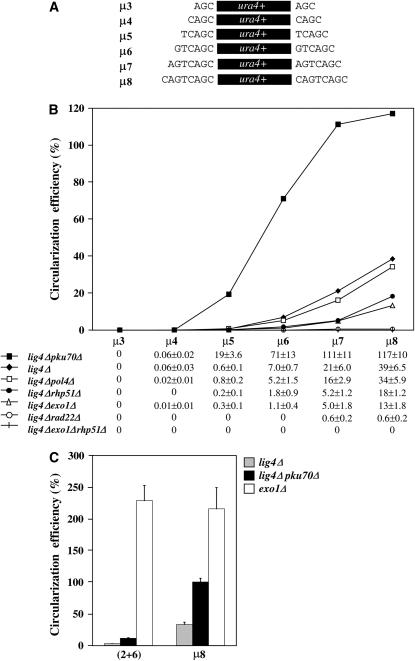 Figure 4.—