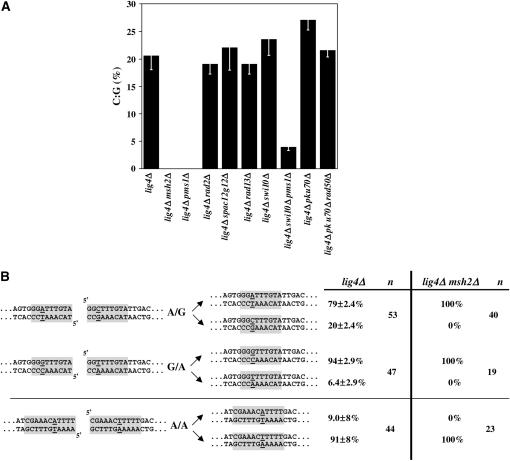 Figure 2.—