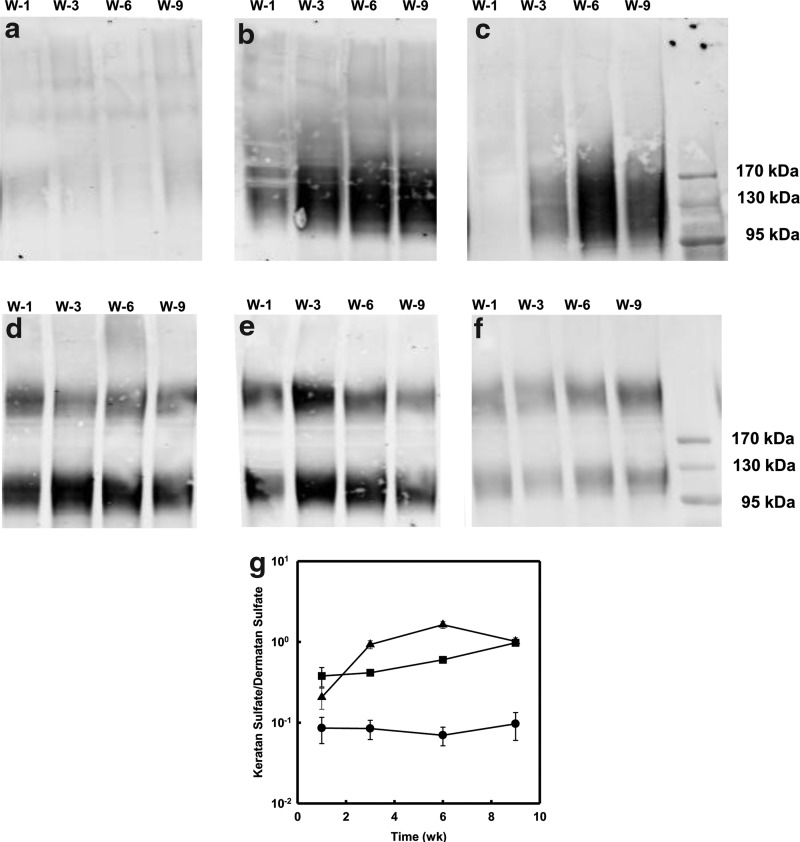 FIG. 8.