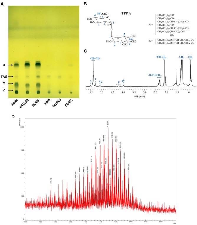 FIGURE 3