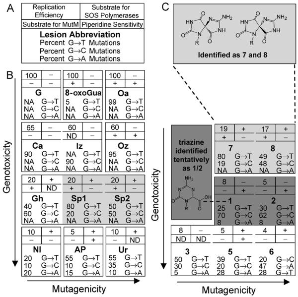 Figure 7