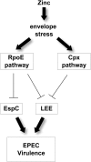 FIG 7