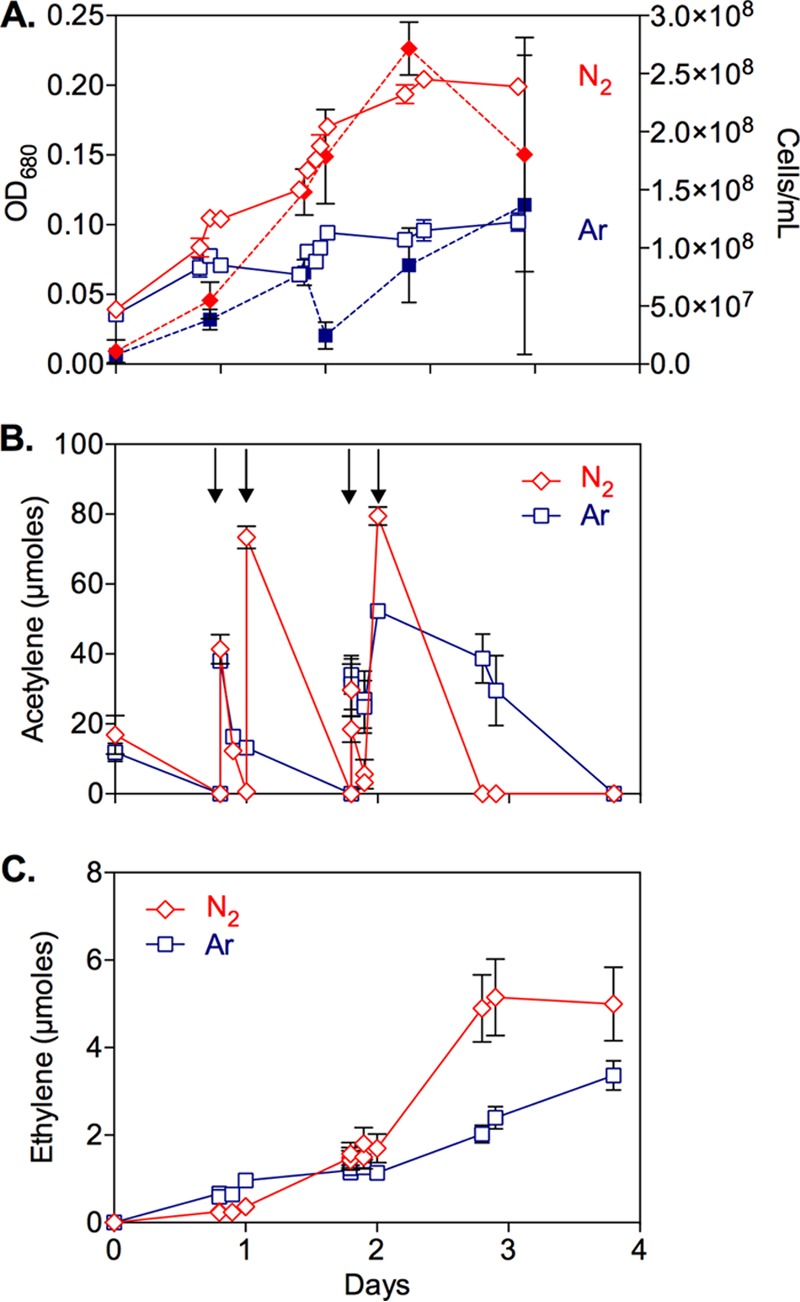 FIG 5