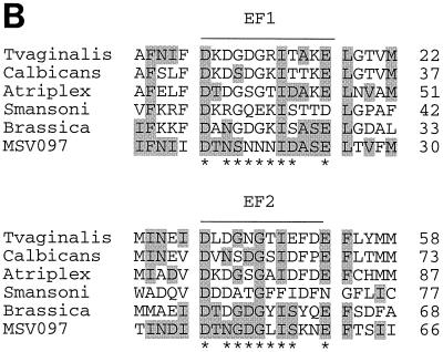 FIG. 5