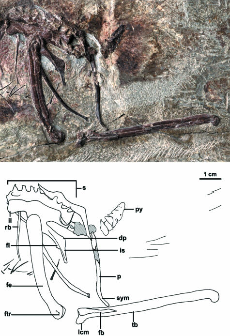 Fig. 5