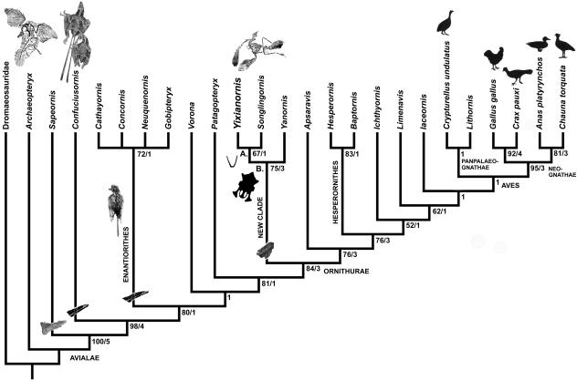 Fig. 10