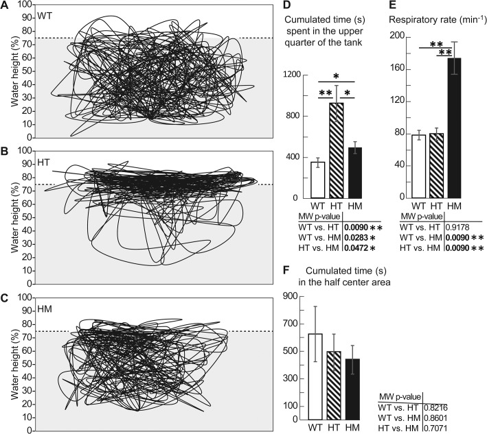 Fig 11