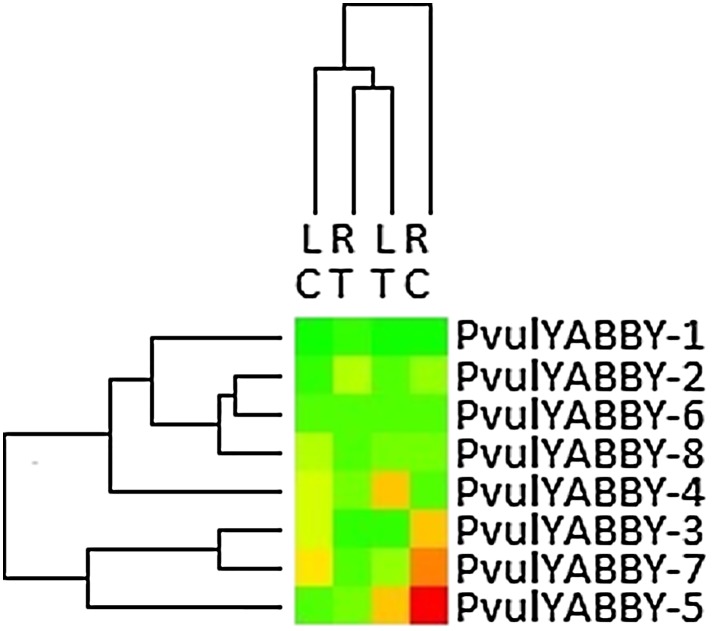 Fig. 4