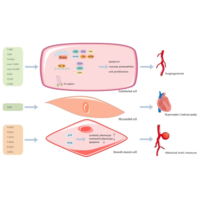 graphic file with name fx1.jpg