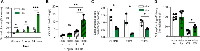 Fig. 8.