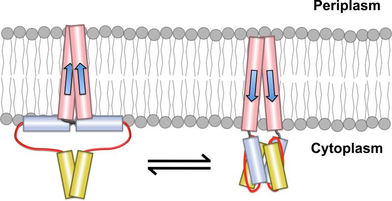 Figure 8