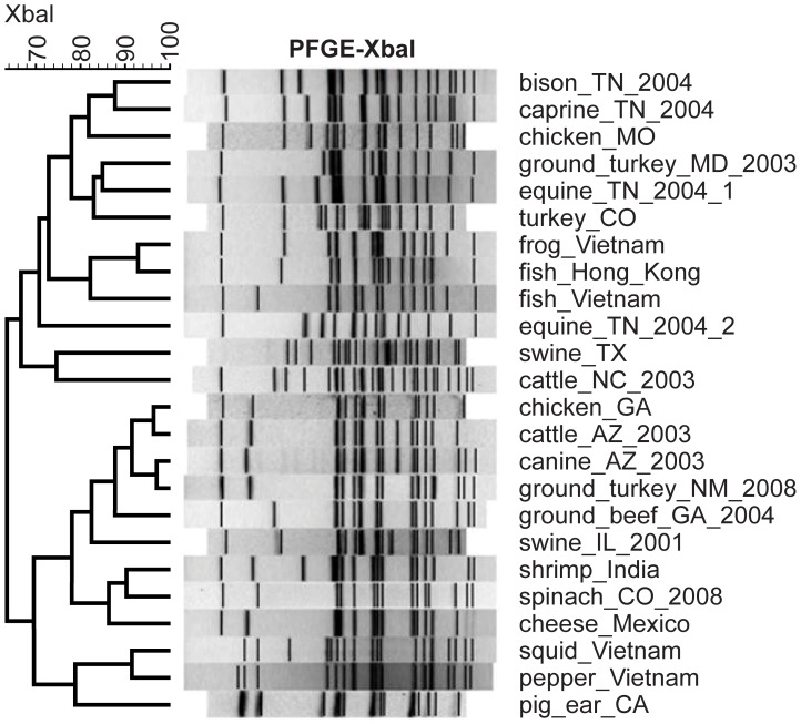 Figure 4